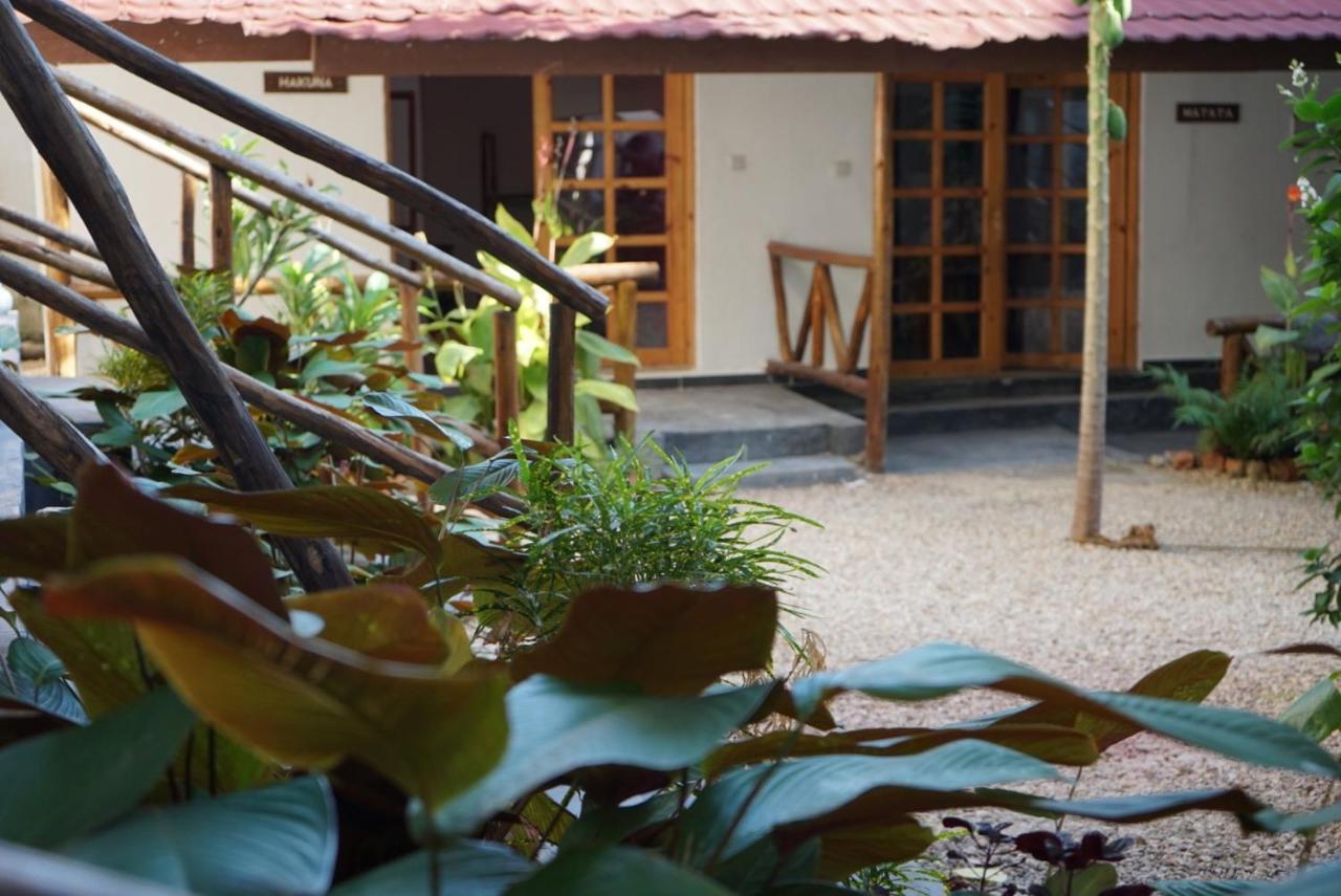 ホテル La Fontana Zanzibar ナングウィ エクステリア 写真